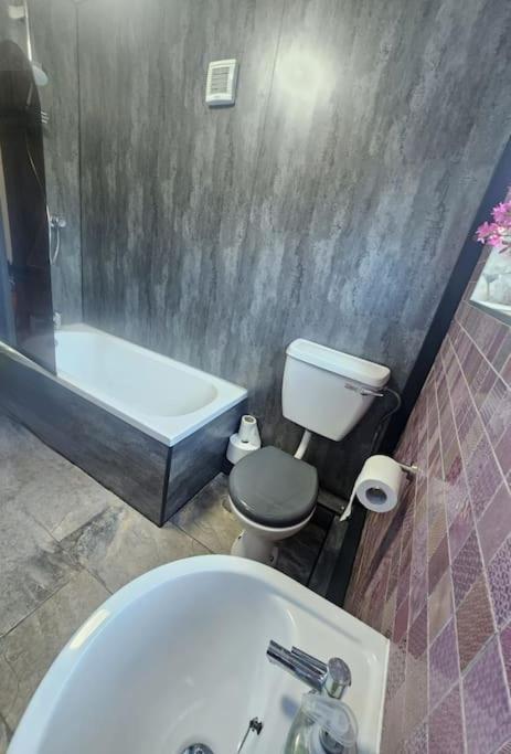 Cosy Cottage In Snowdonia Brynkir Εξωτερικό φωτογραφία