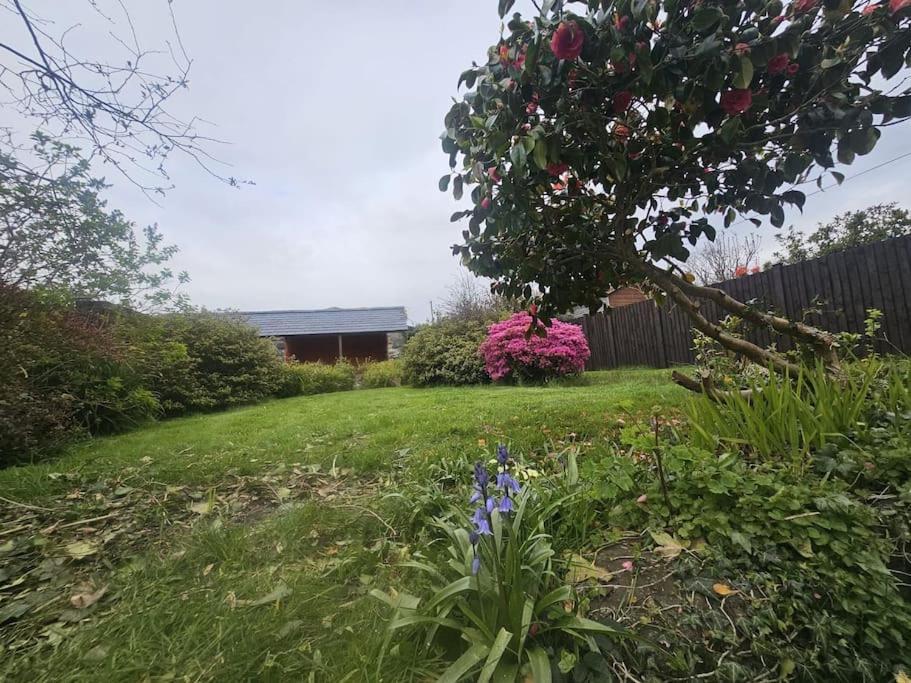 Cosy Cottage In Snowdonia Brynkir Εξωτερικό φωτογραφία